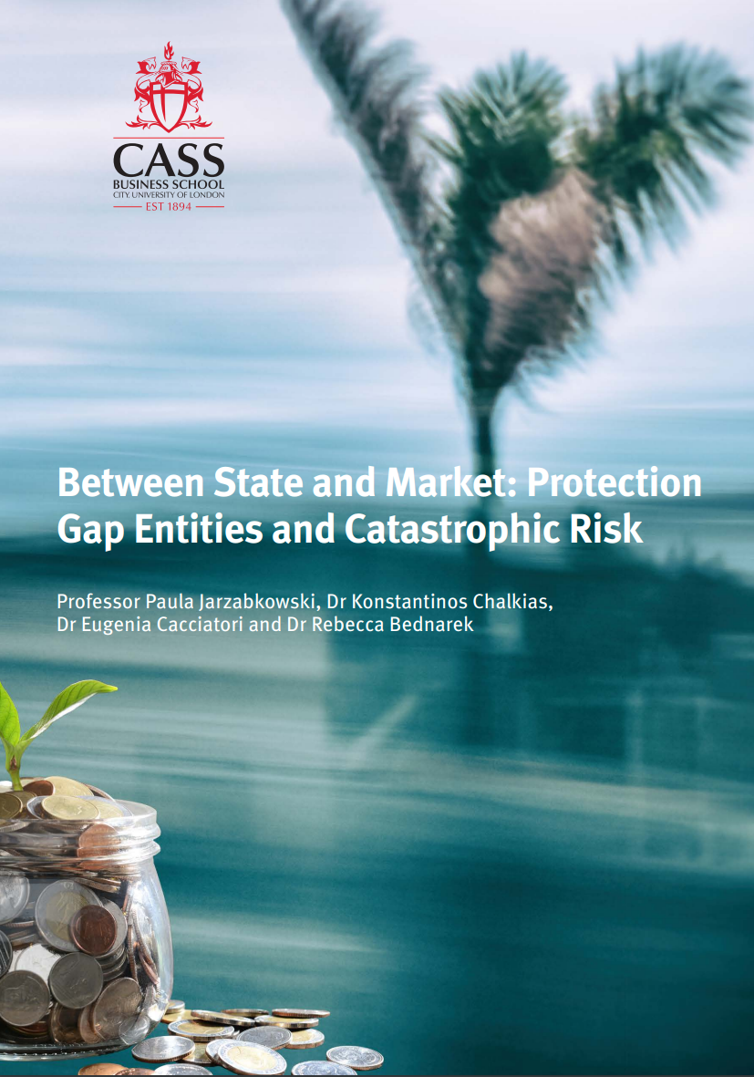 Between State and Market: Protection Gap Entities and Catastrophic Risk