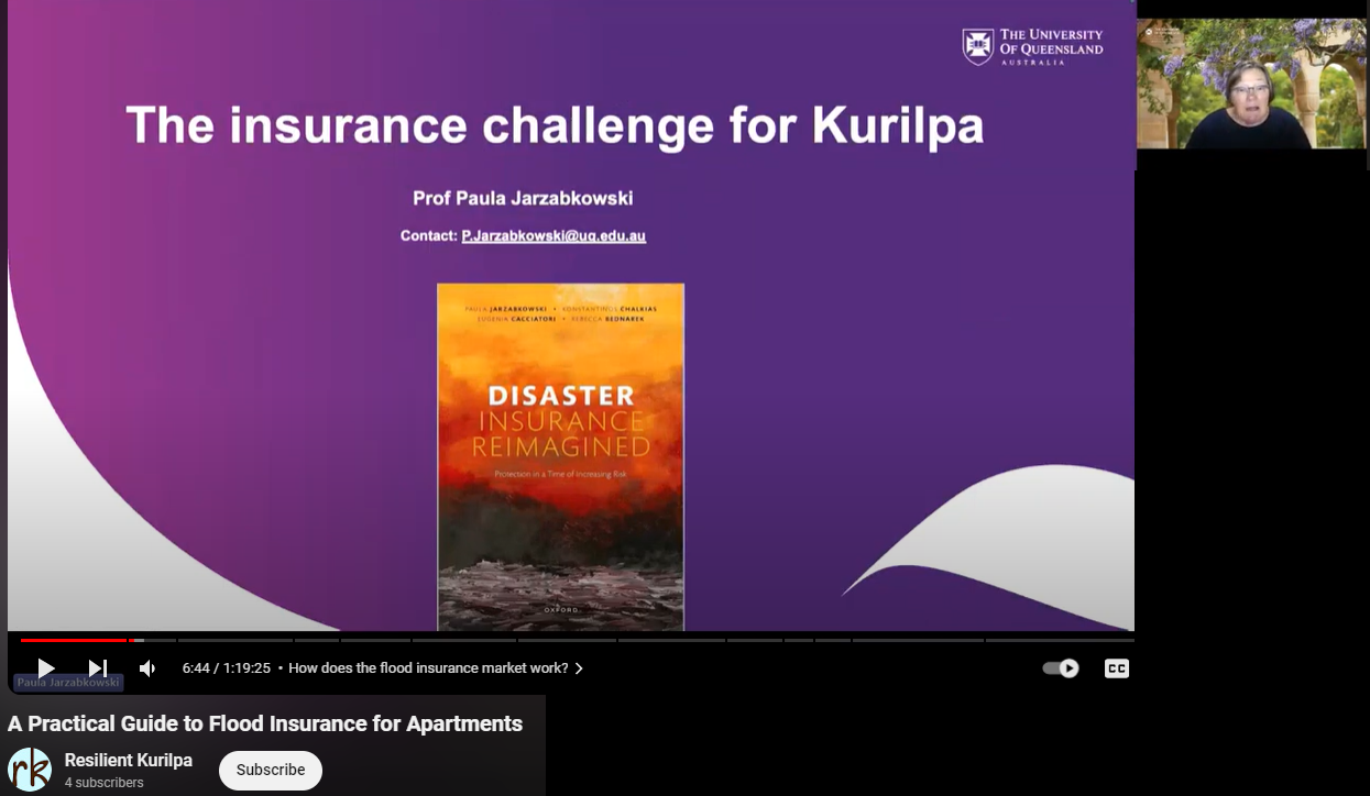 Professor Paula Jarzabkowski speaks at Resilient Kurilpa webinar